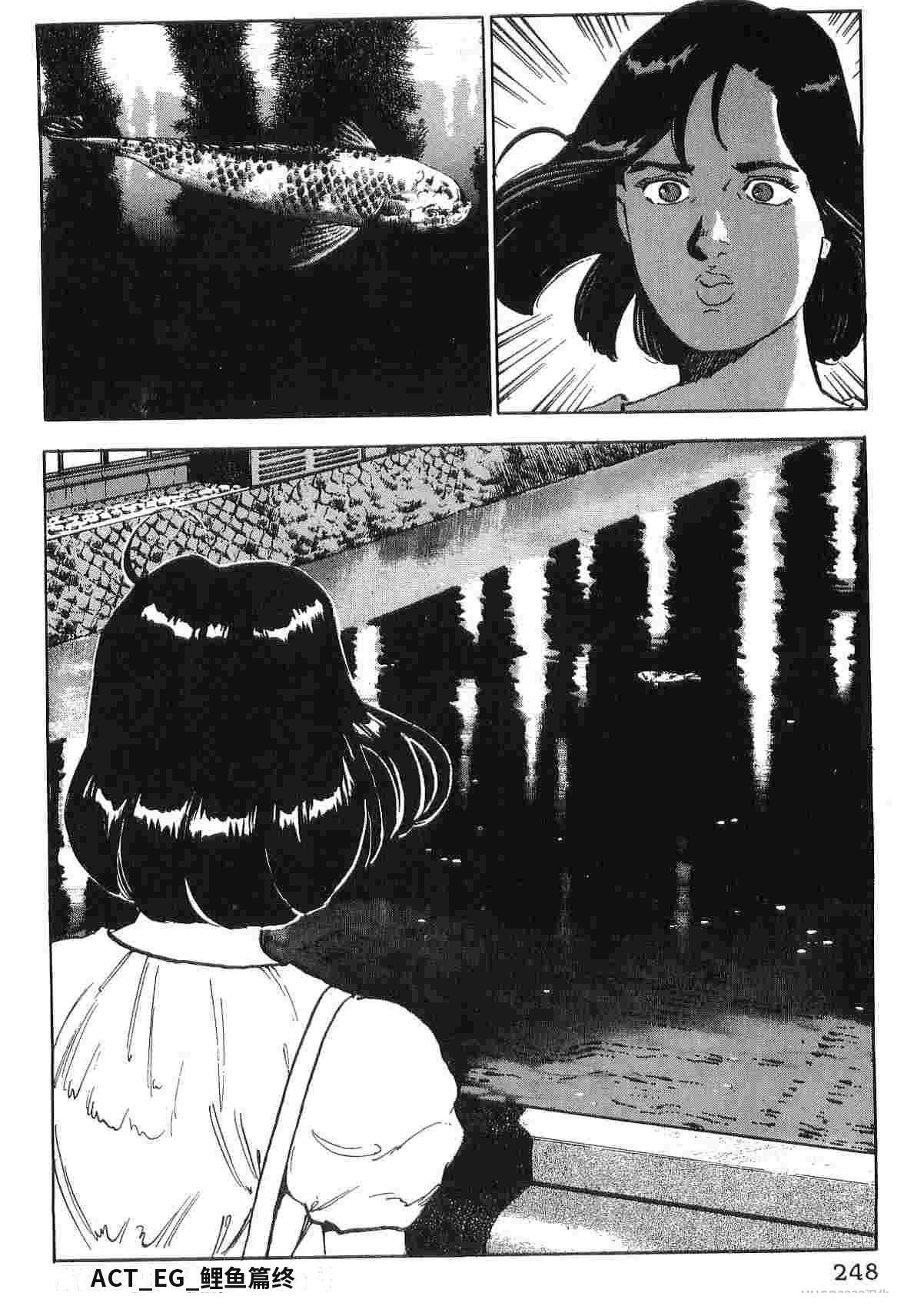 第4卷255