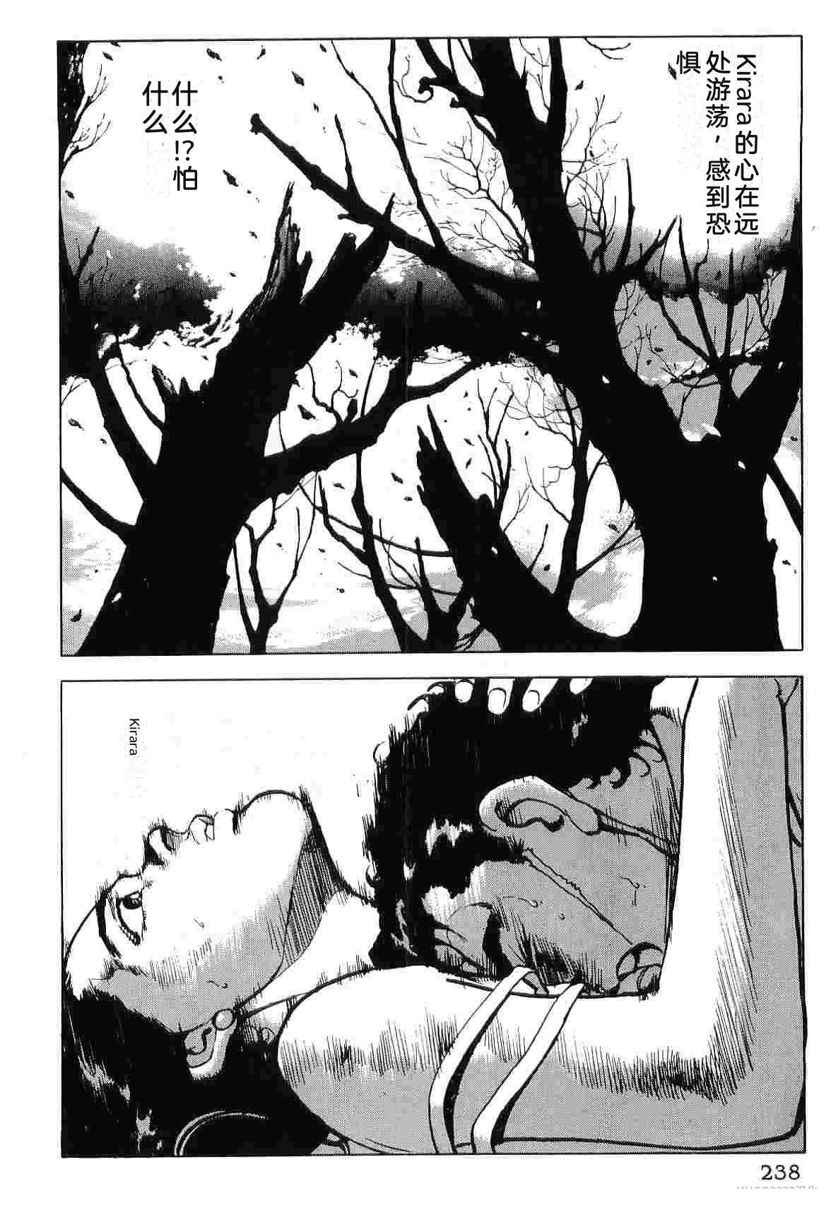 第8卷245