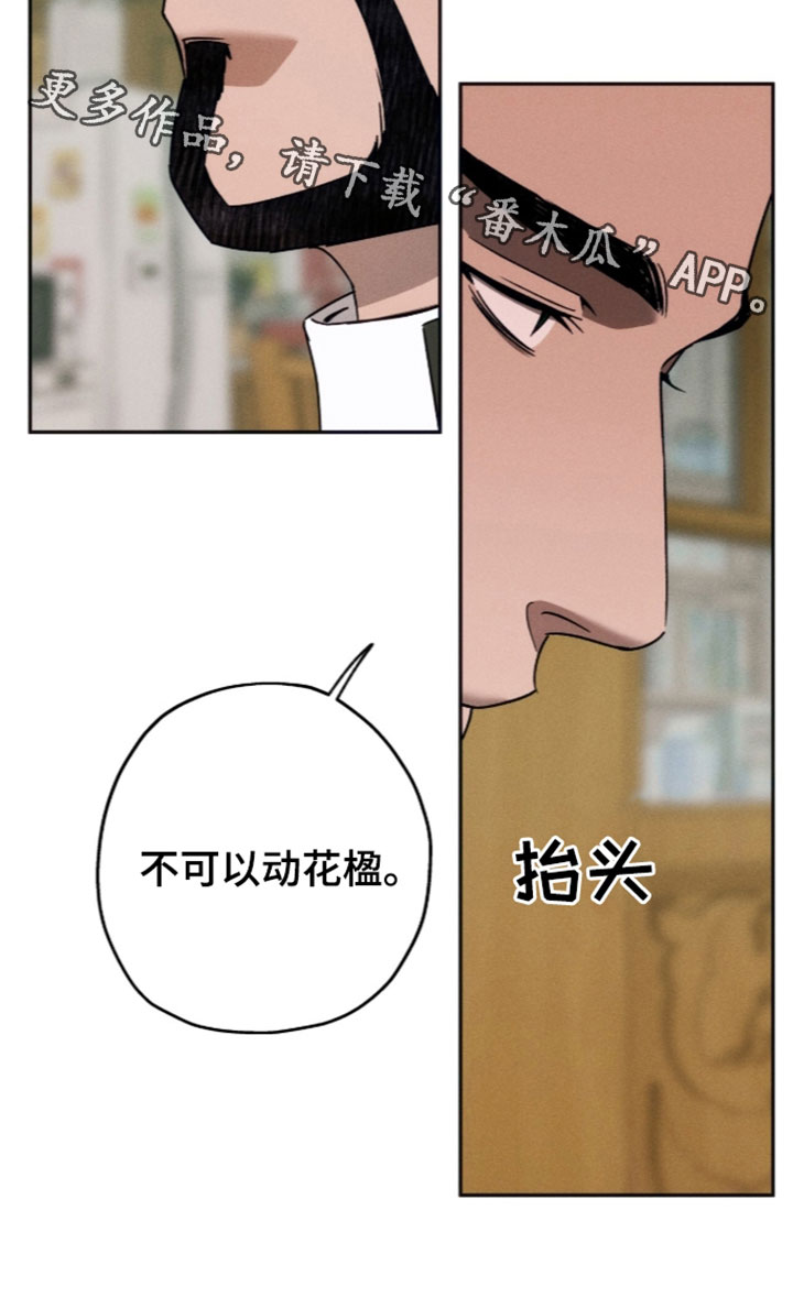 第262话33