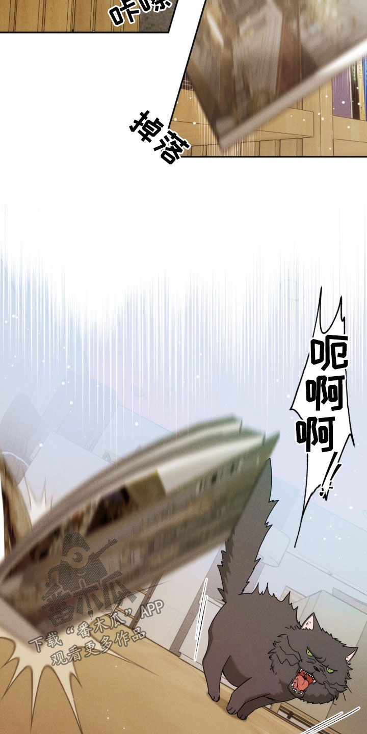第260话18