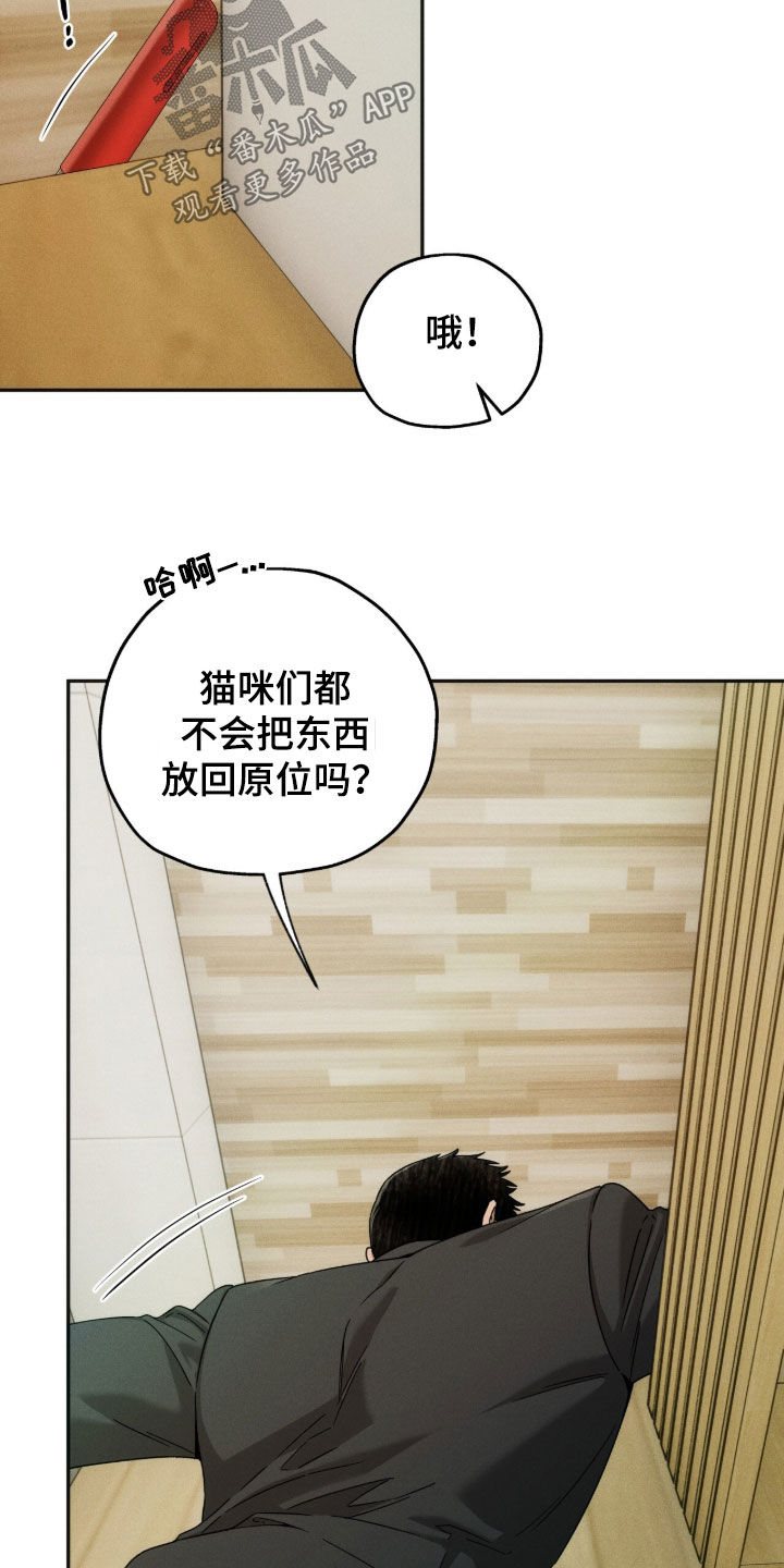 第260话2