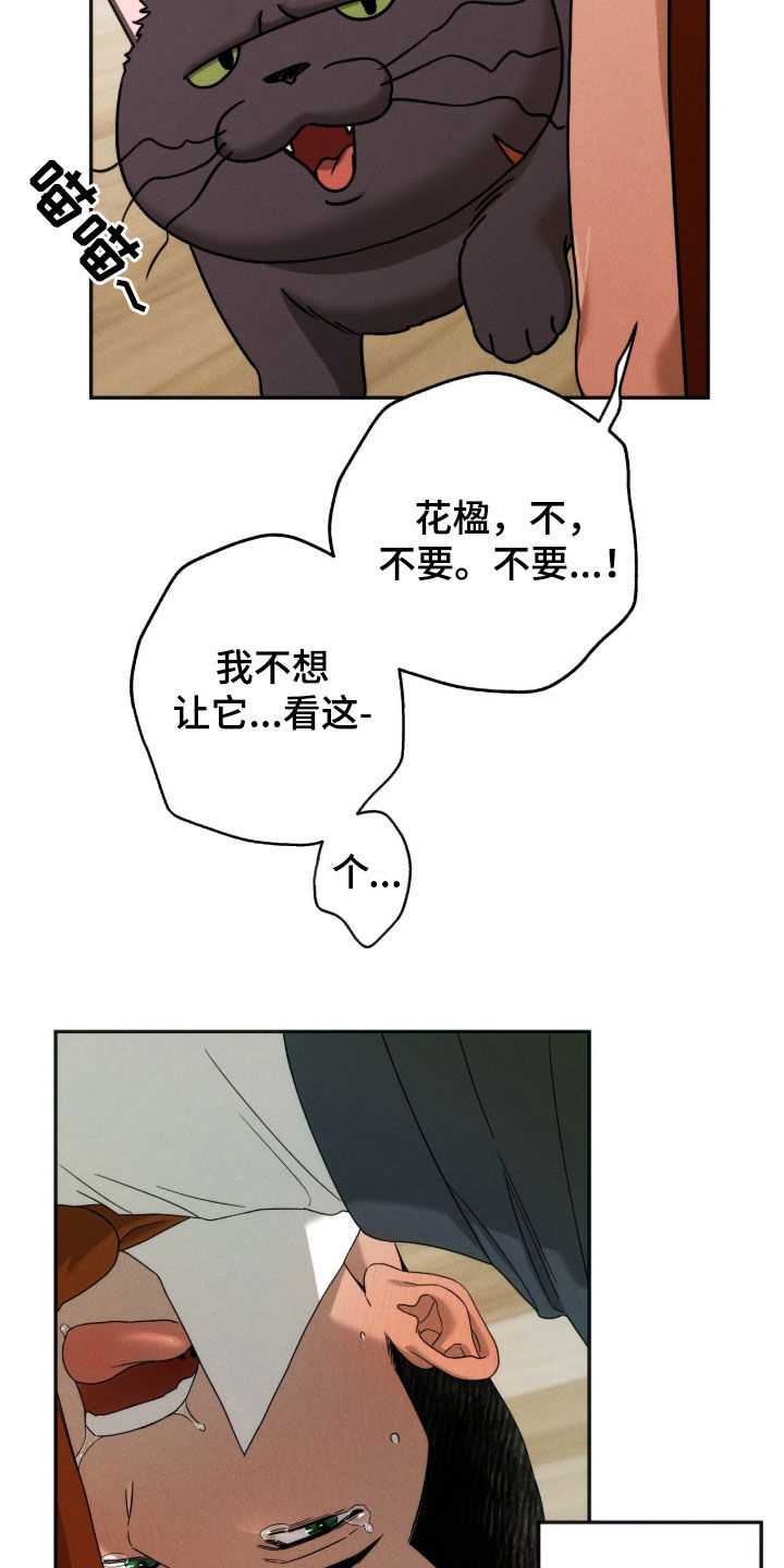 第260话21