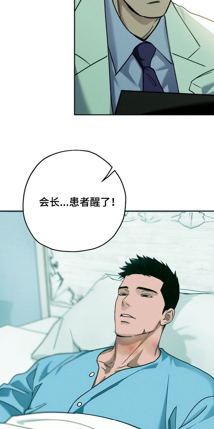 第250话13