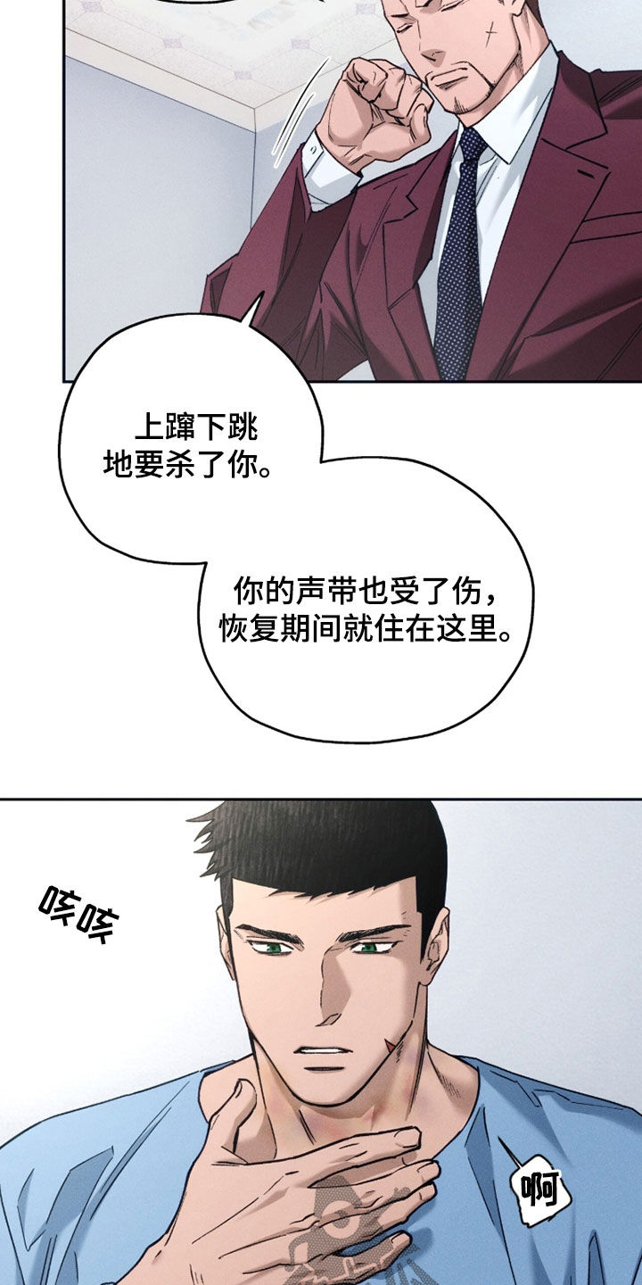 第250话21