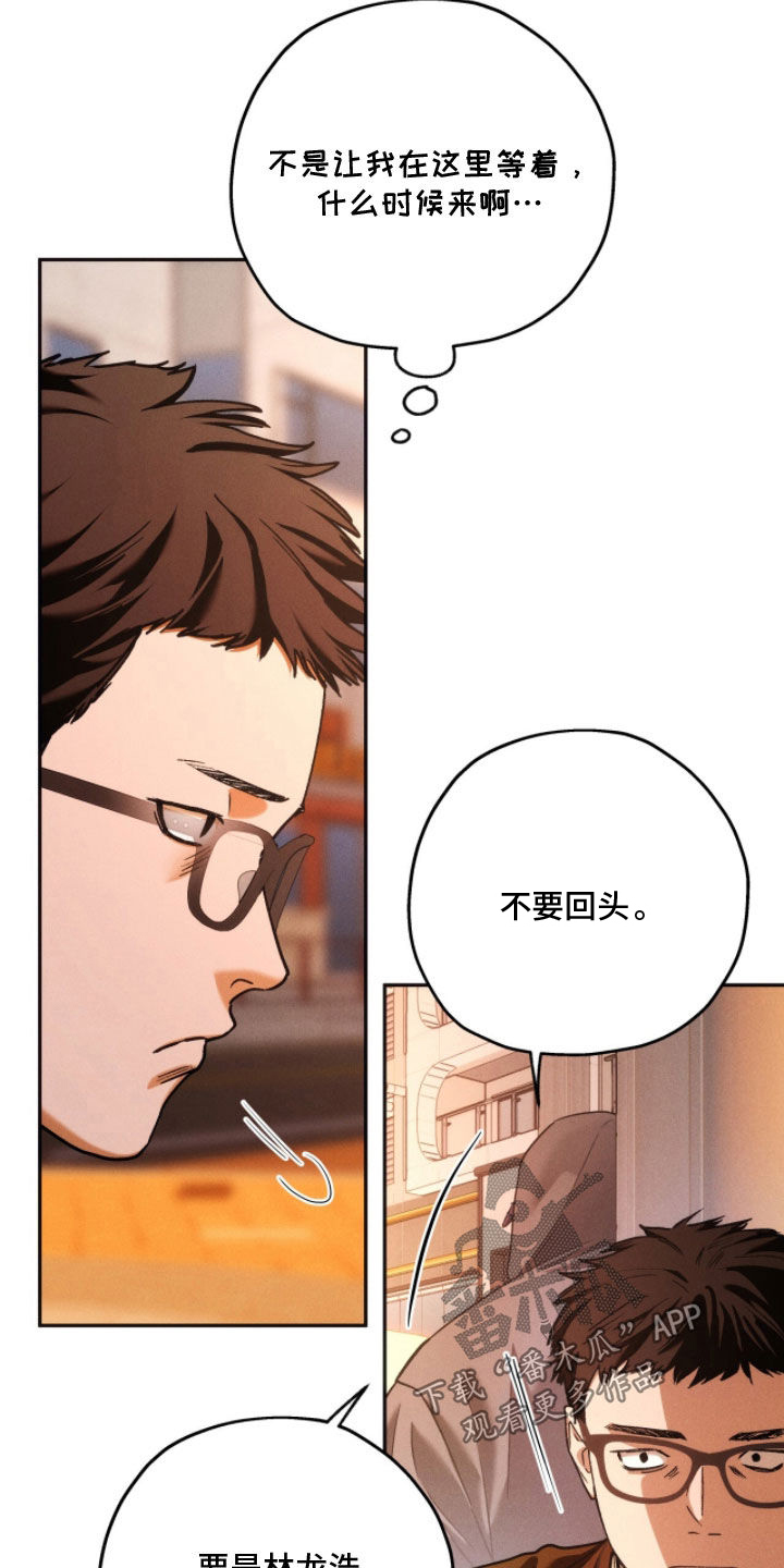 第244话19