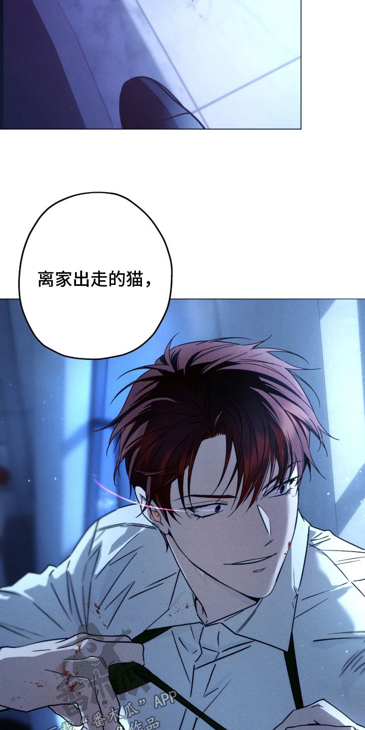 第242话1