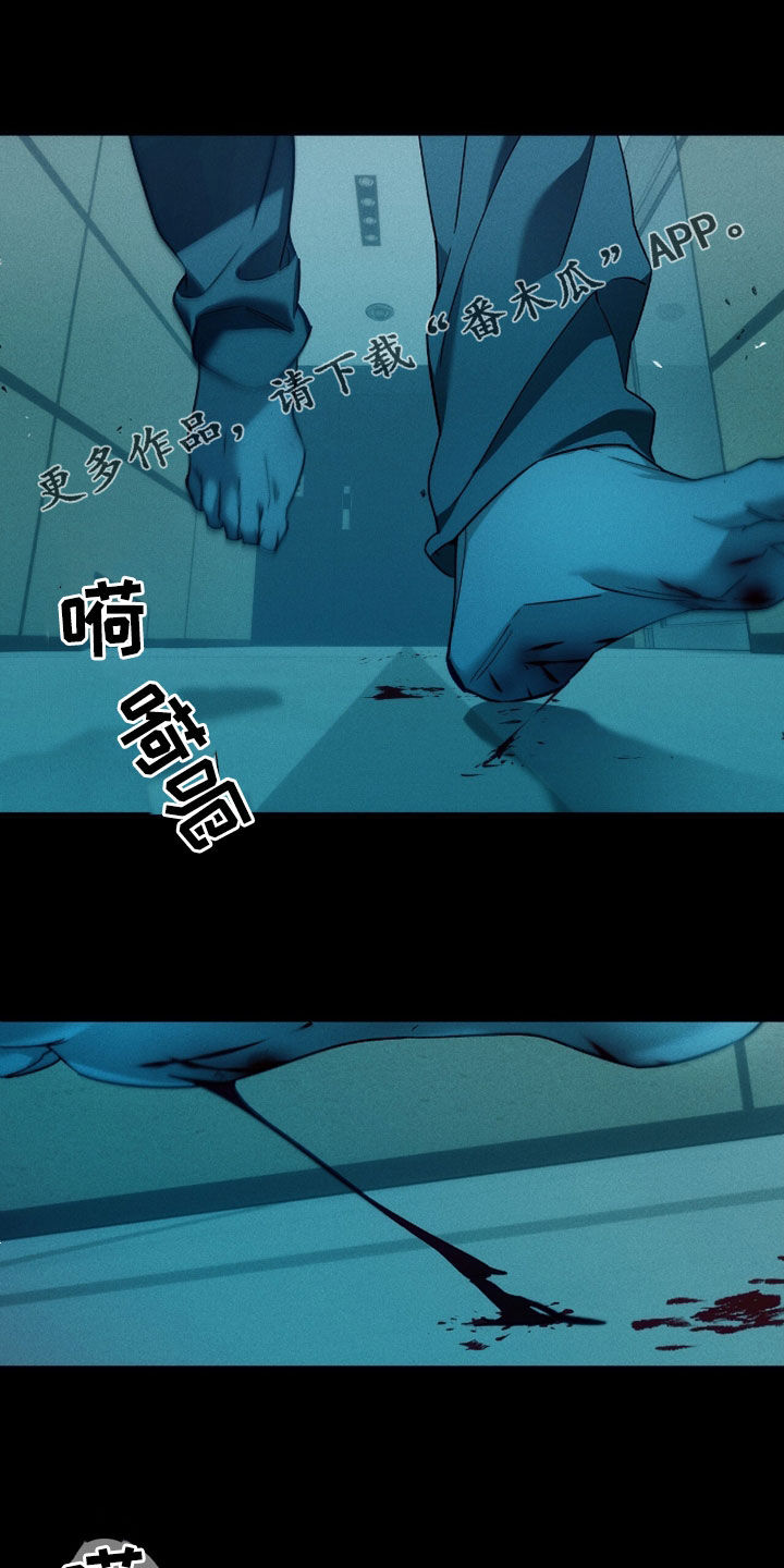 第240话0