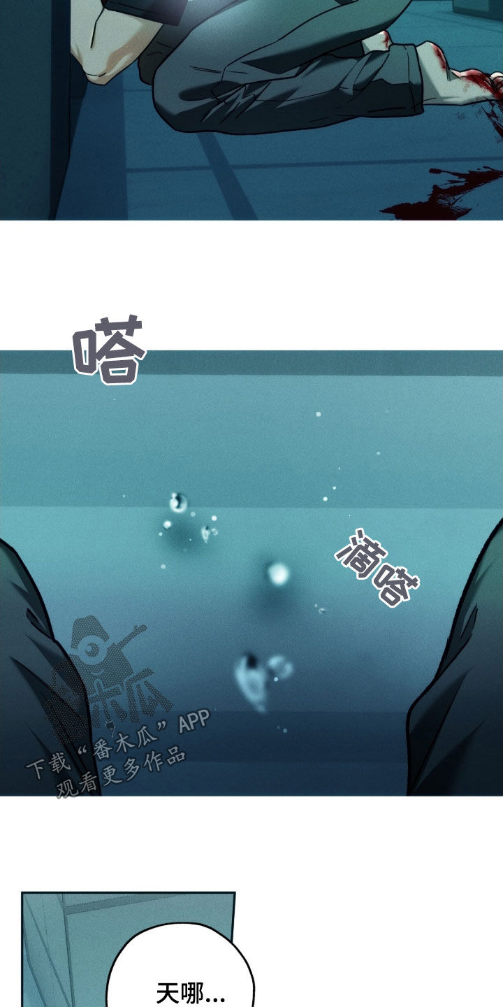 第237话17