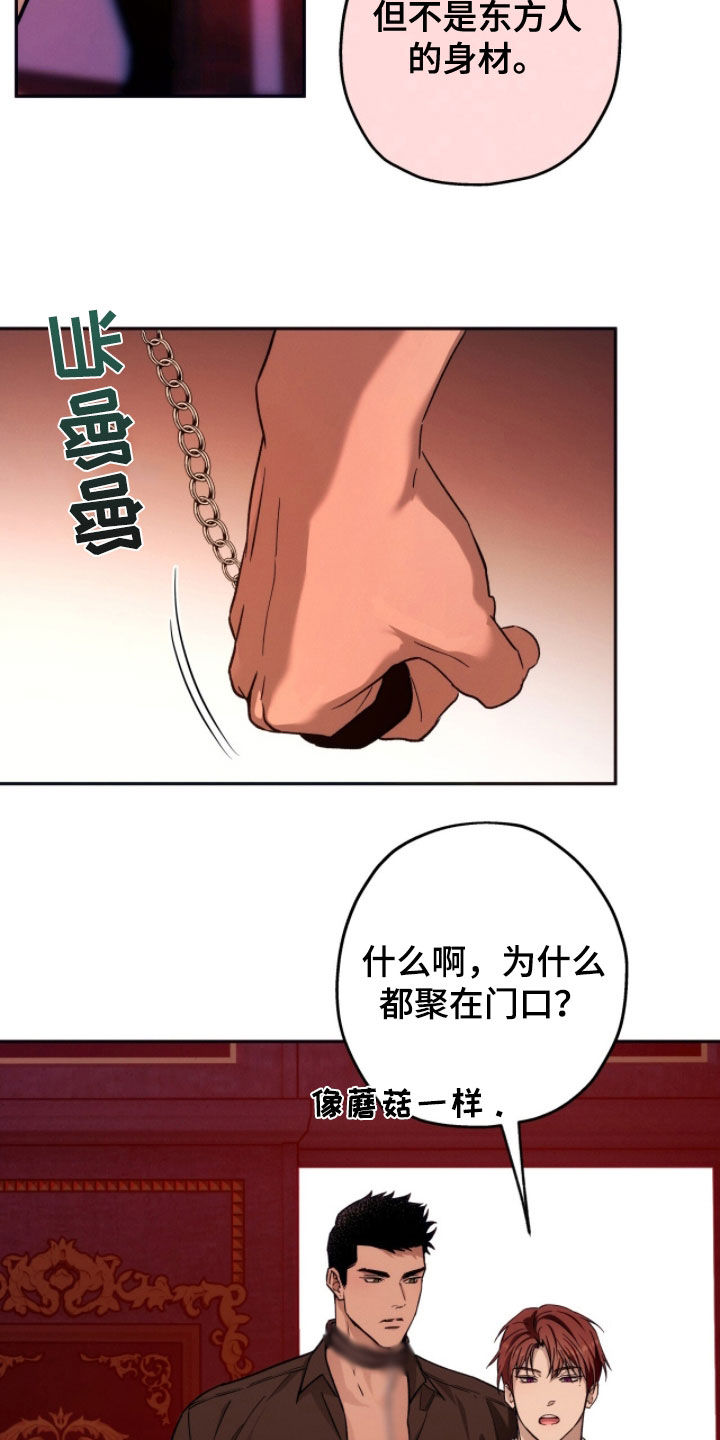 第206话17