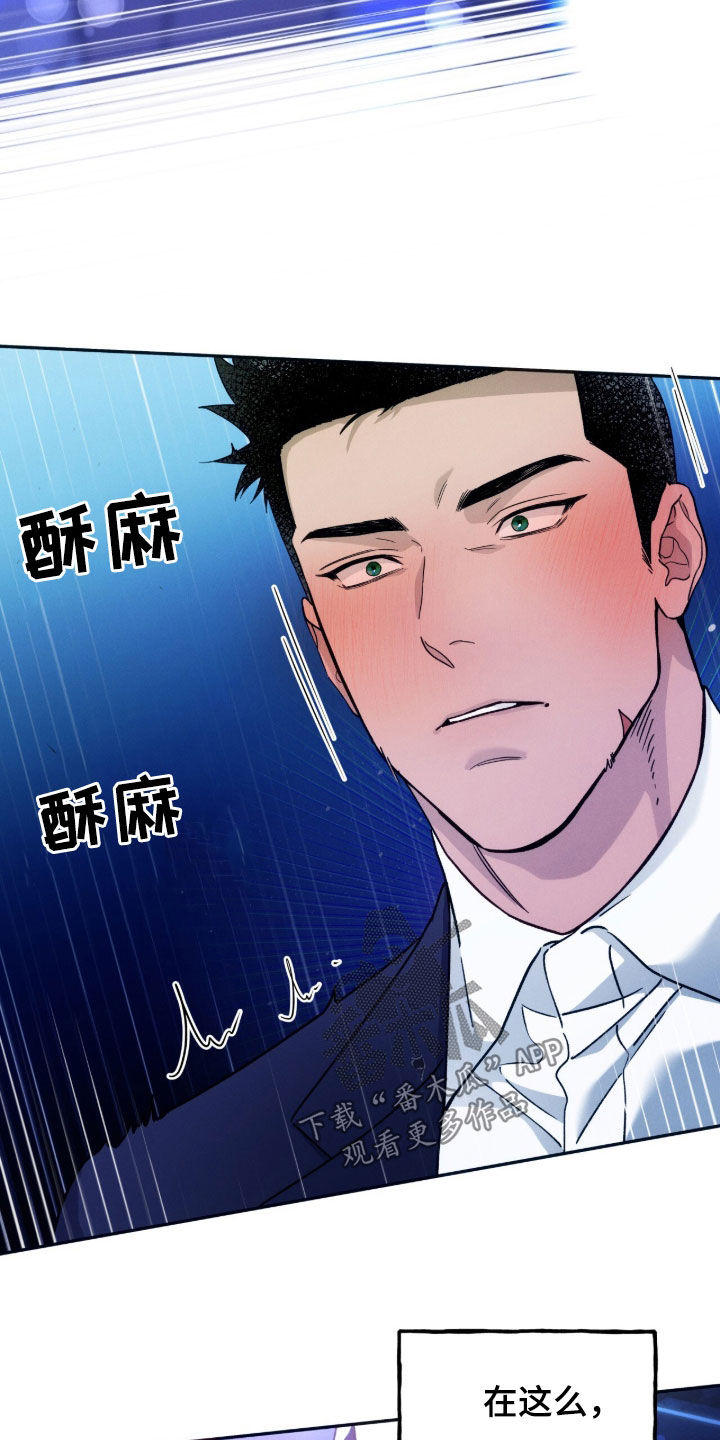 第204话10