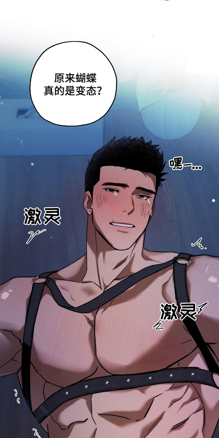 第203话1