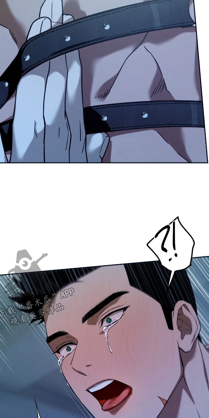 第202话12
