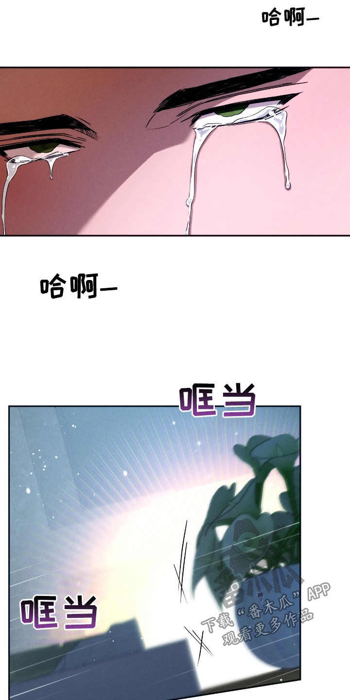 第202话19