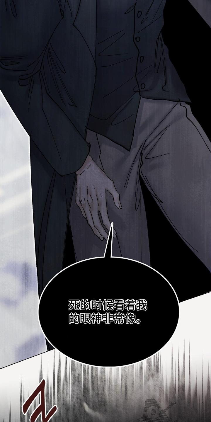 第48话17