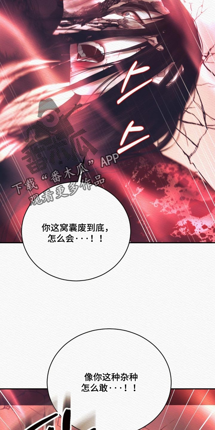 第168话11