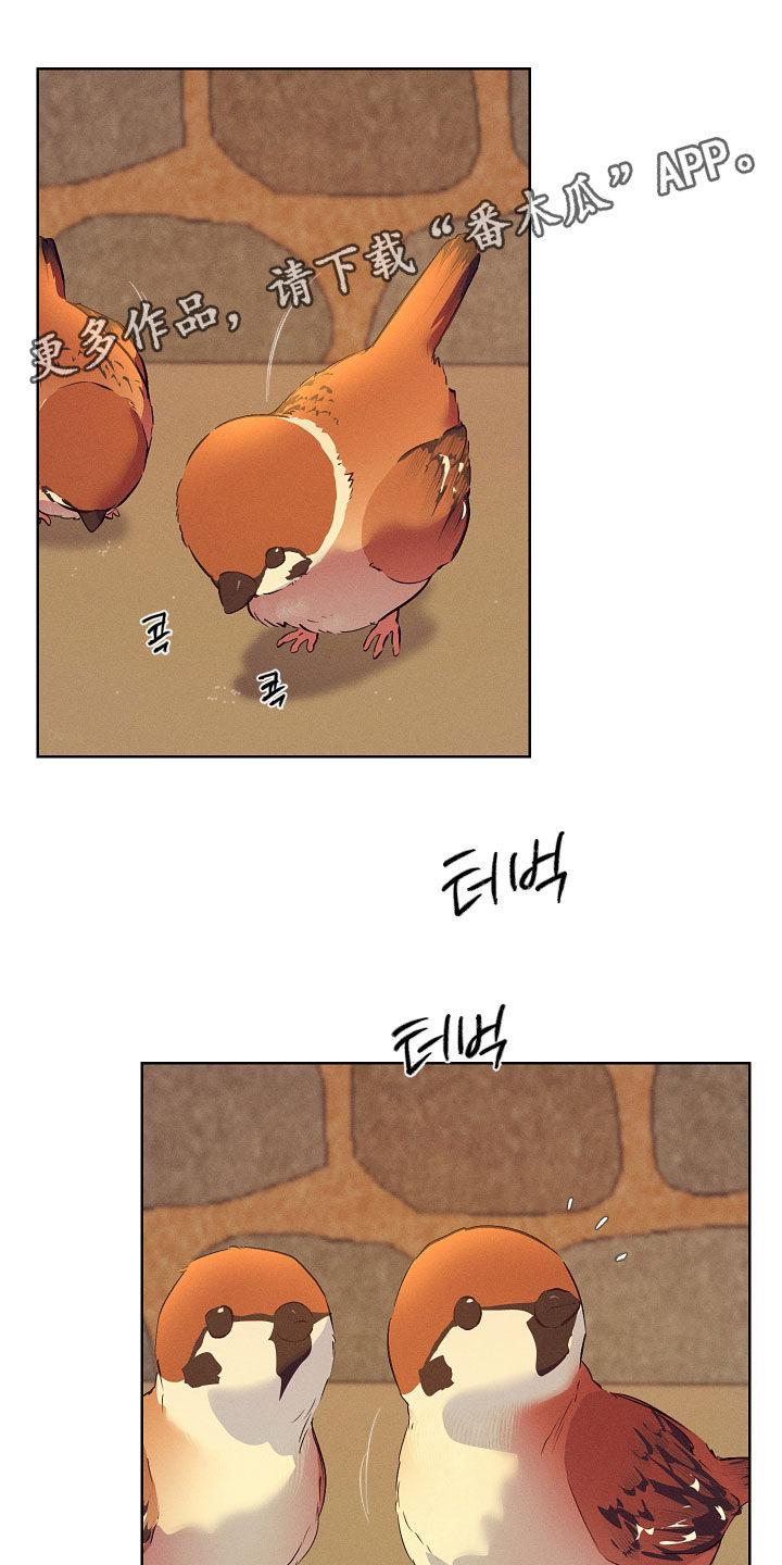 第96话0