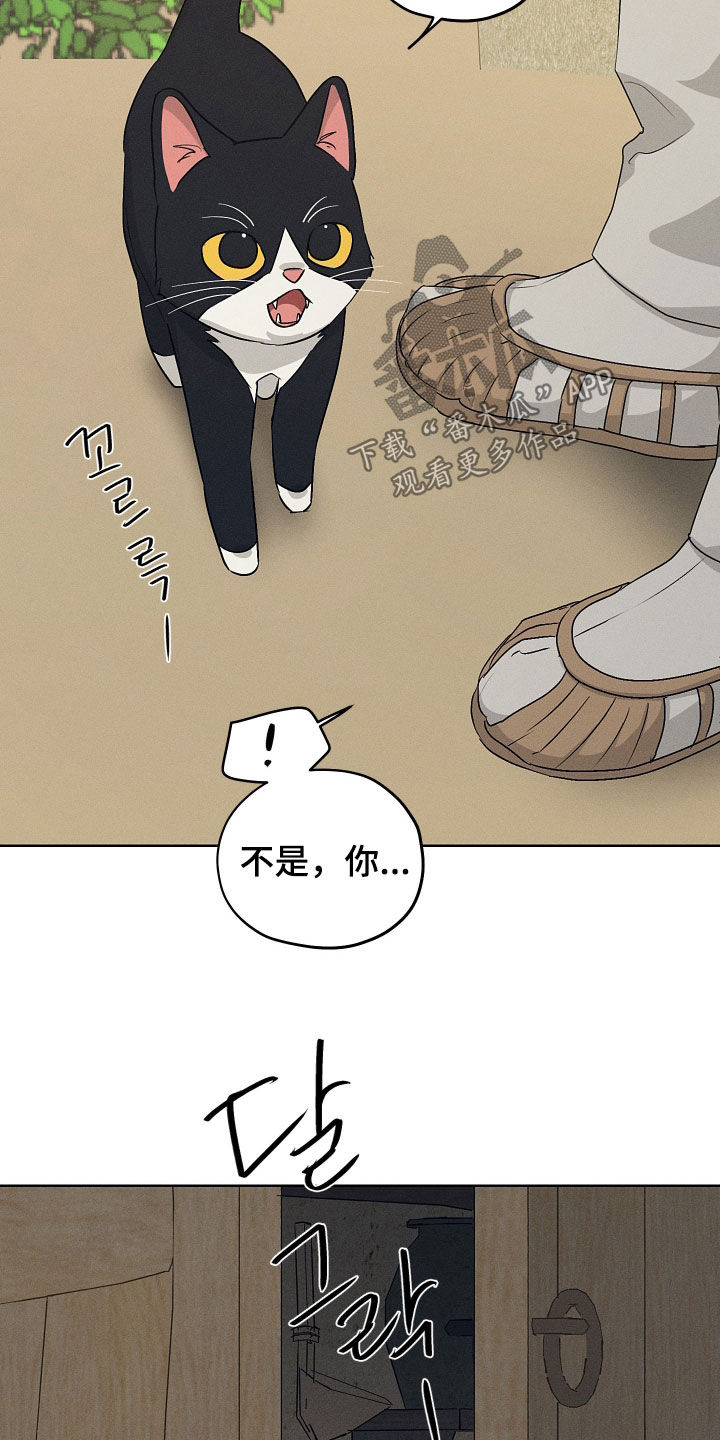 第70话5