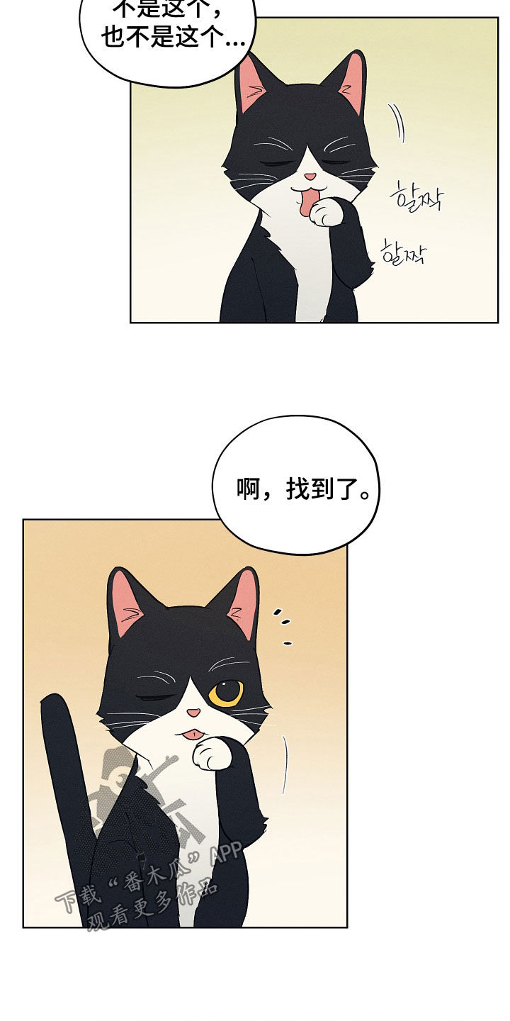 第70话7