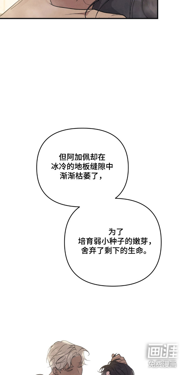 第23话4