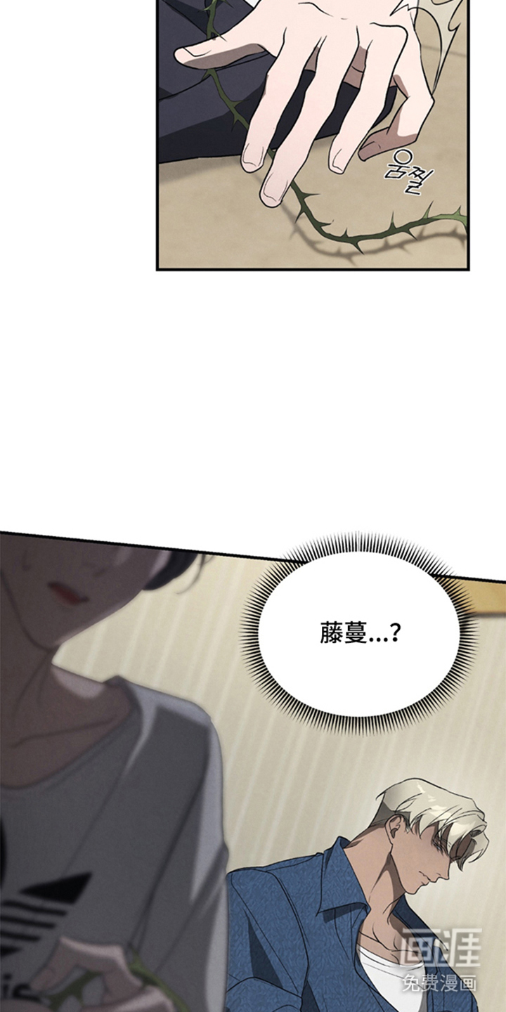 第5话19