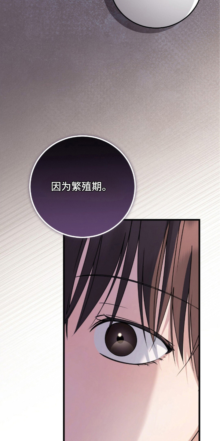 第23话7