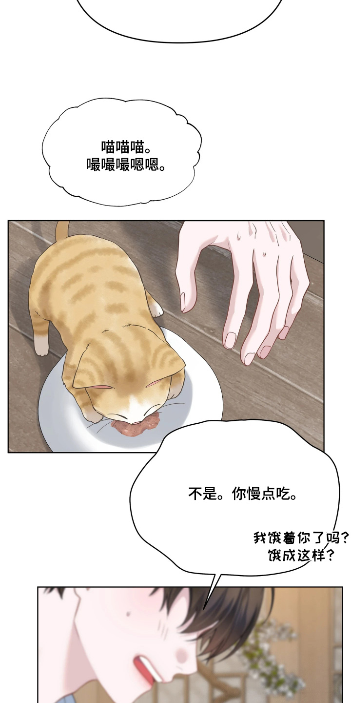 第25话11