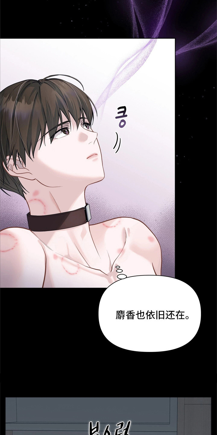 第11话12