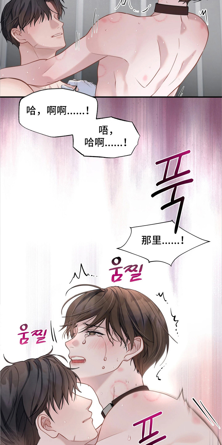 第11话8