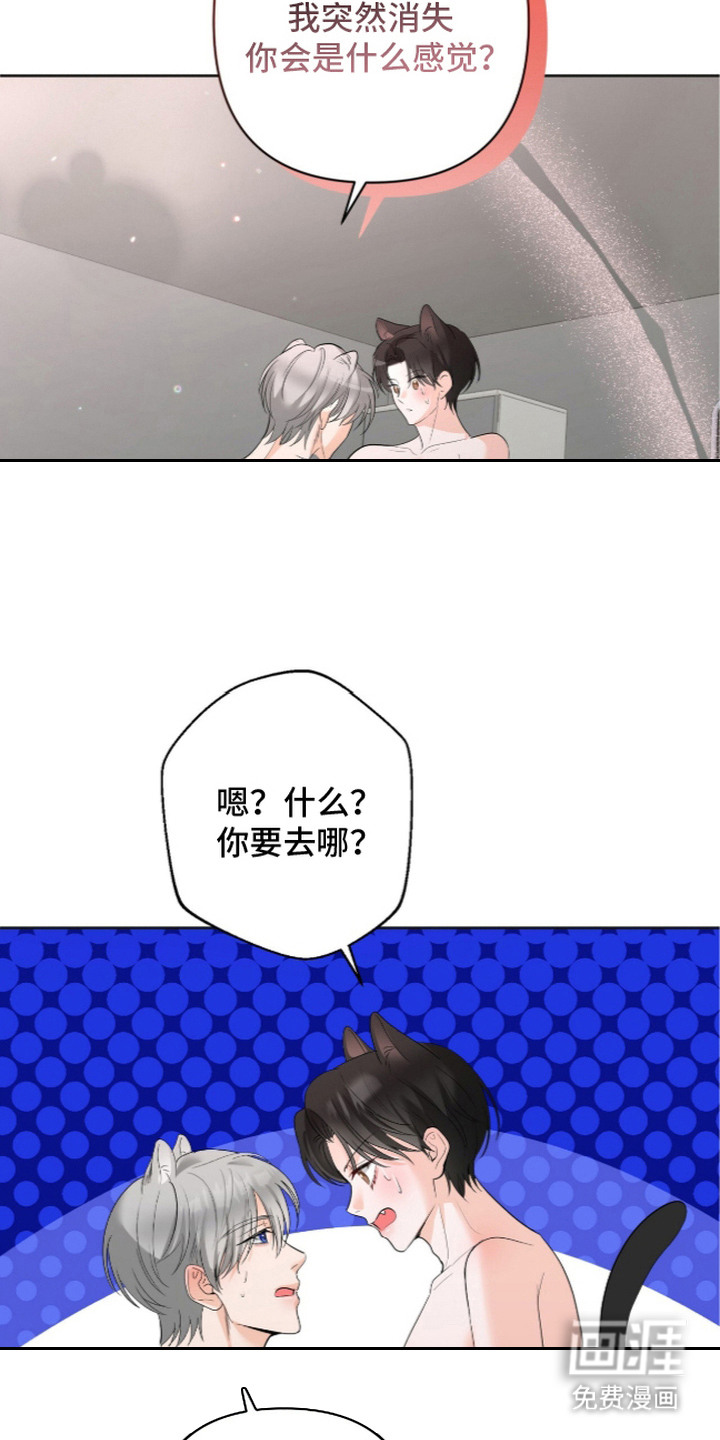 第11话11