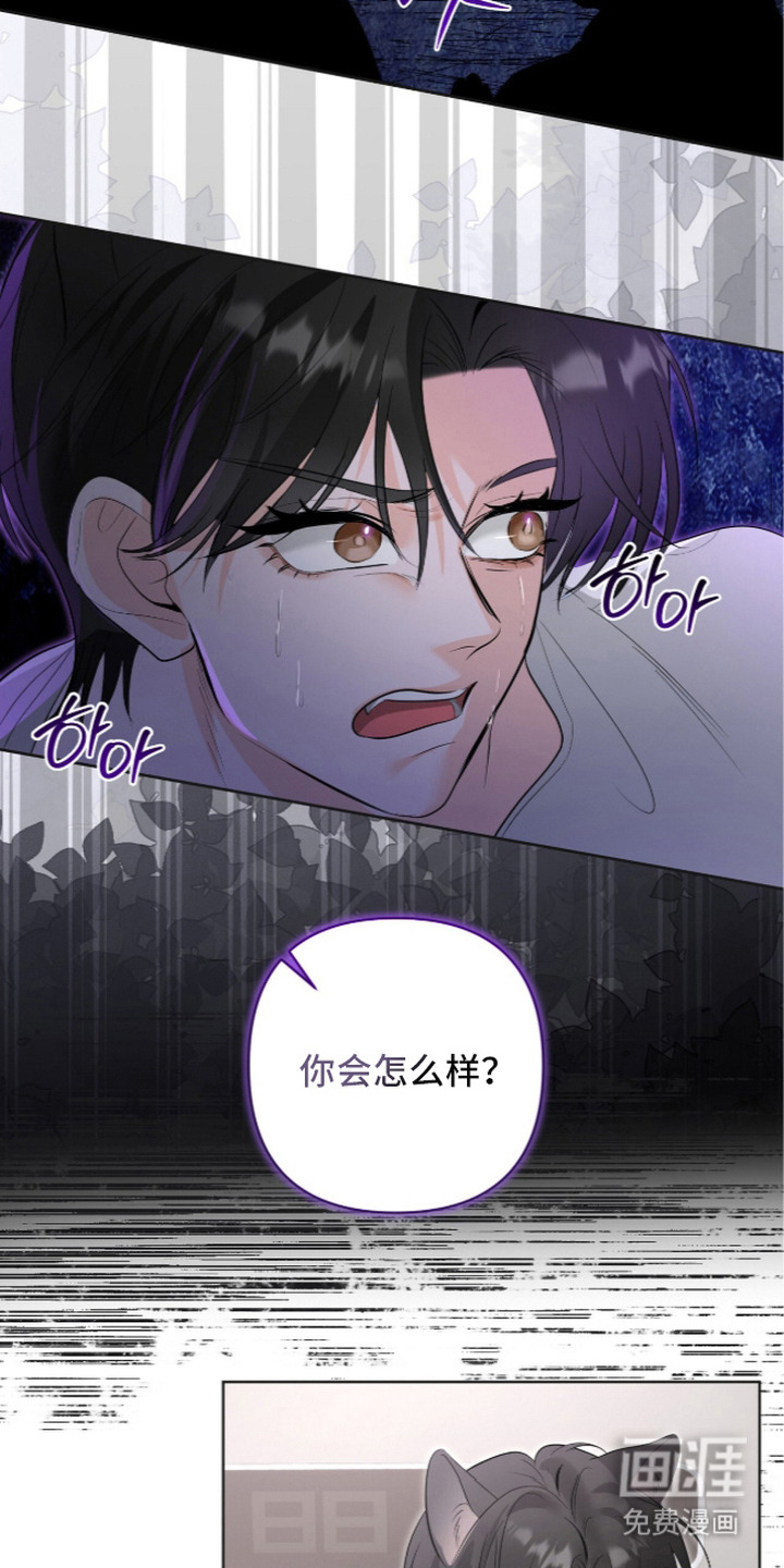 第11话14