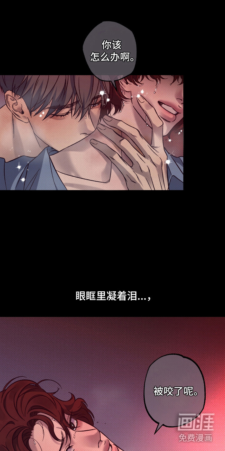 第9话6