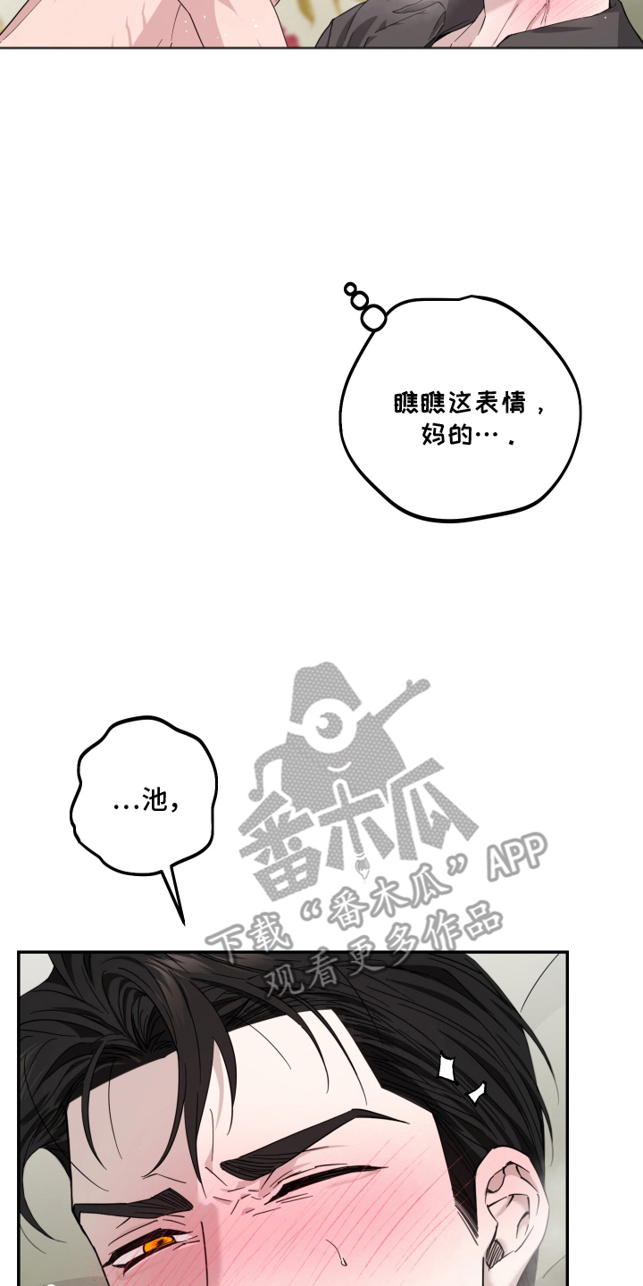 第11话5