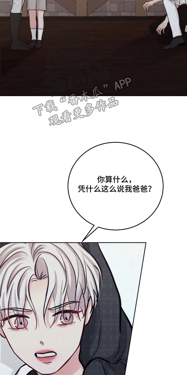 第13话9