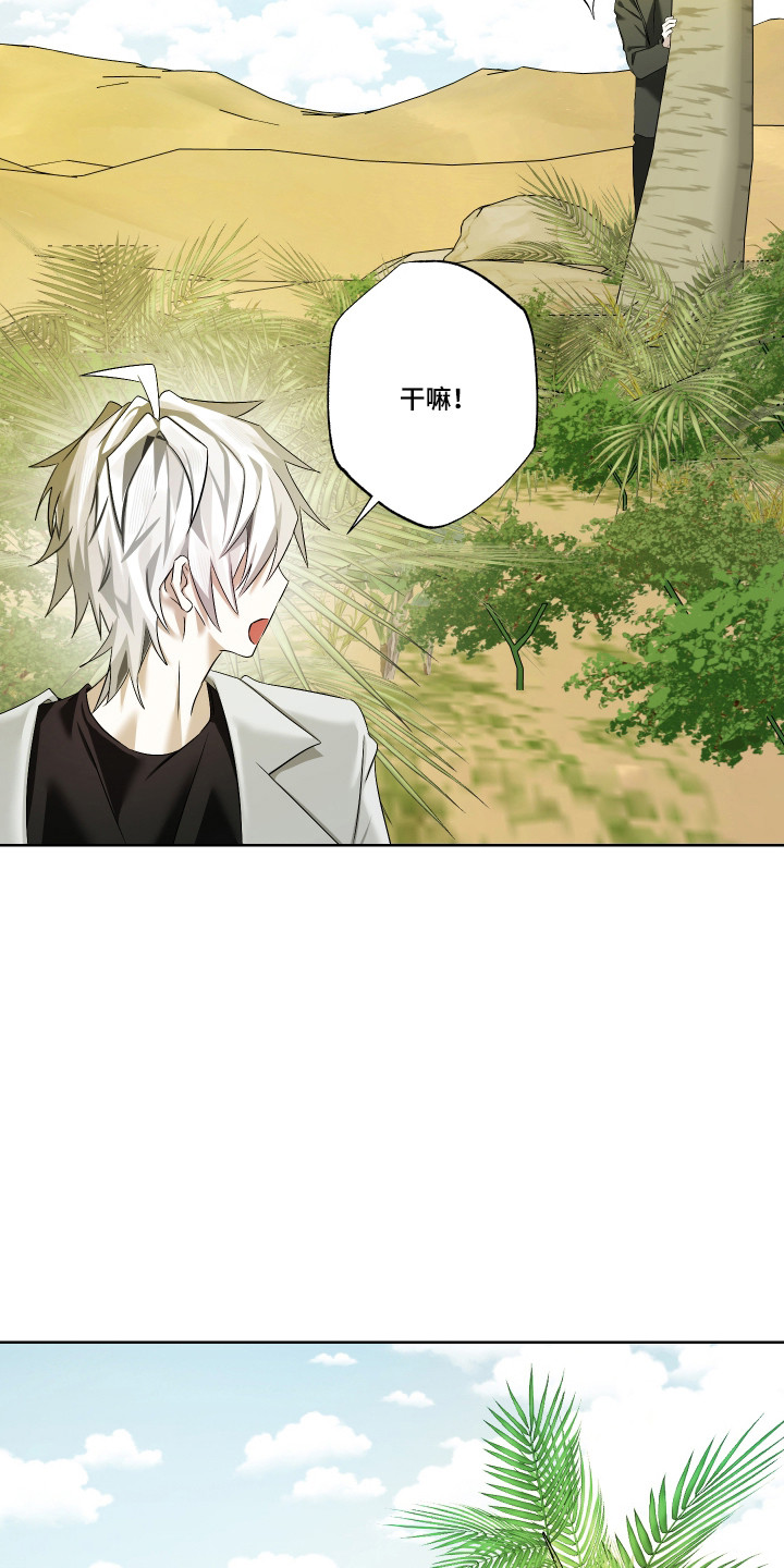 第14话11
