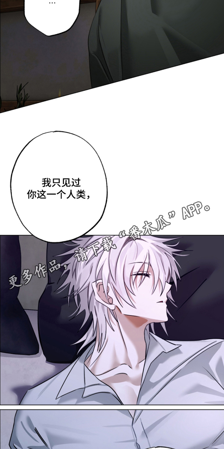 第7话13