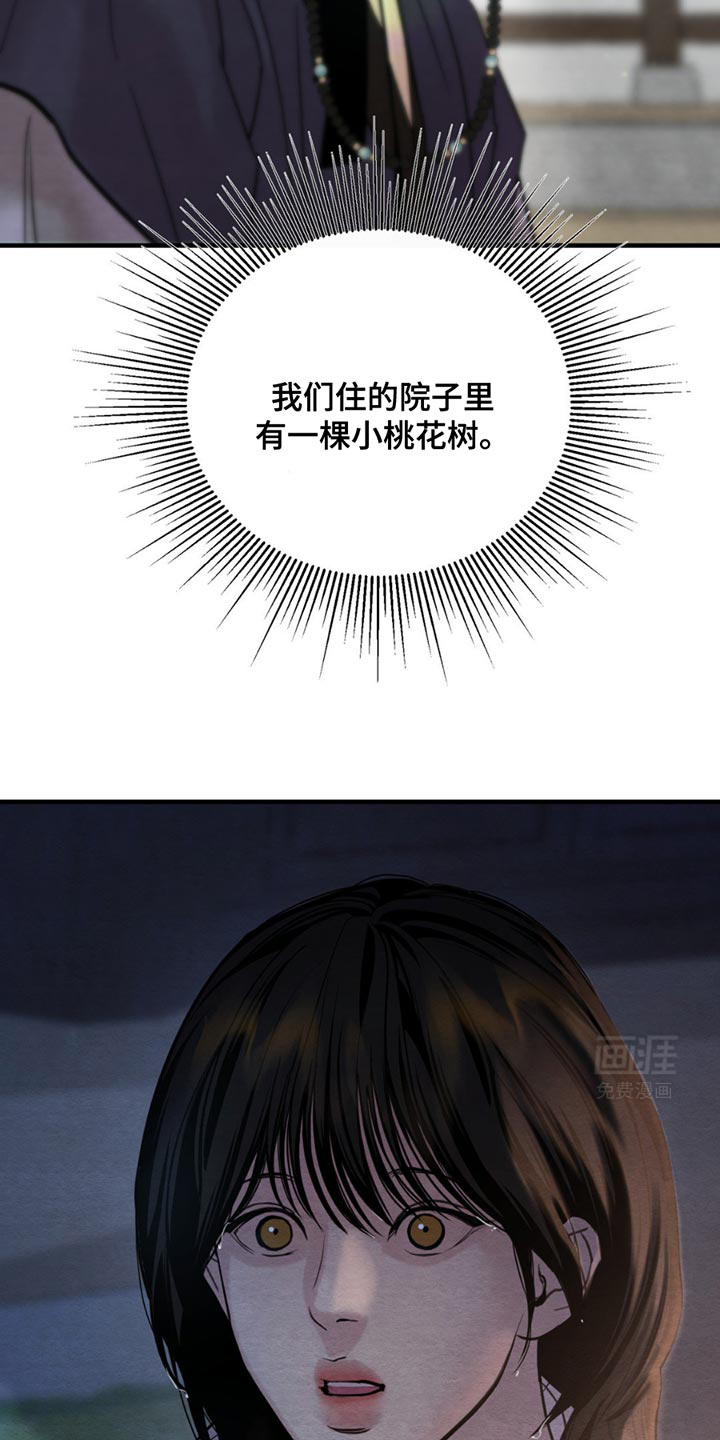 第226话11