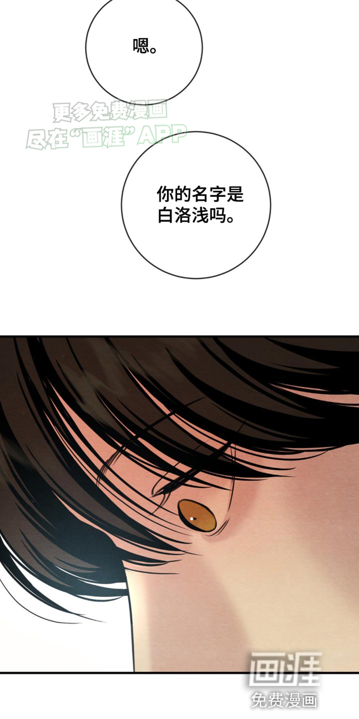 第224话31