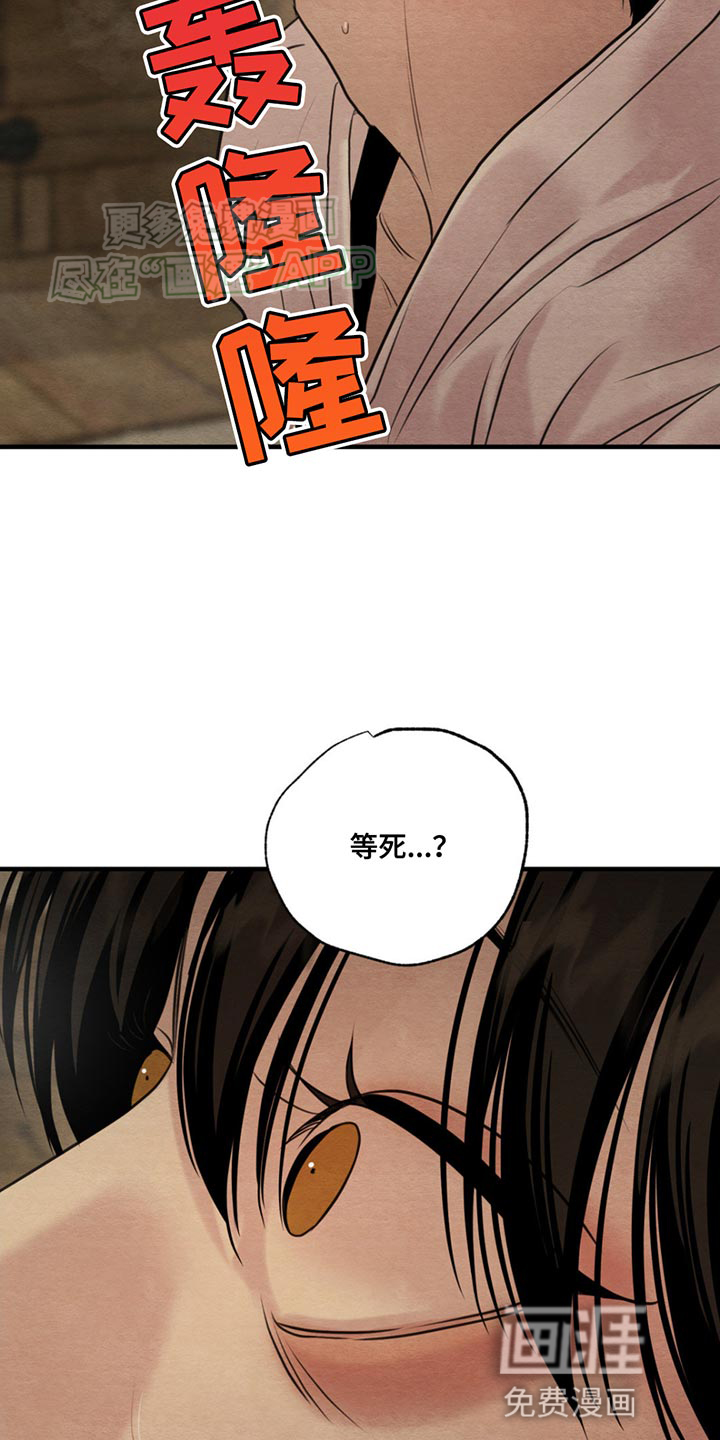 第216话8