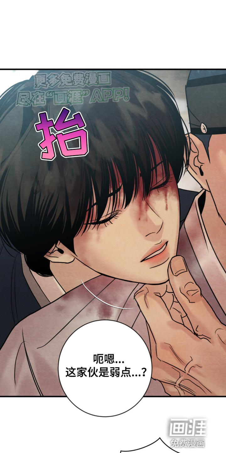 第206话1
