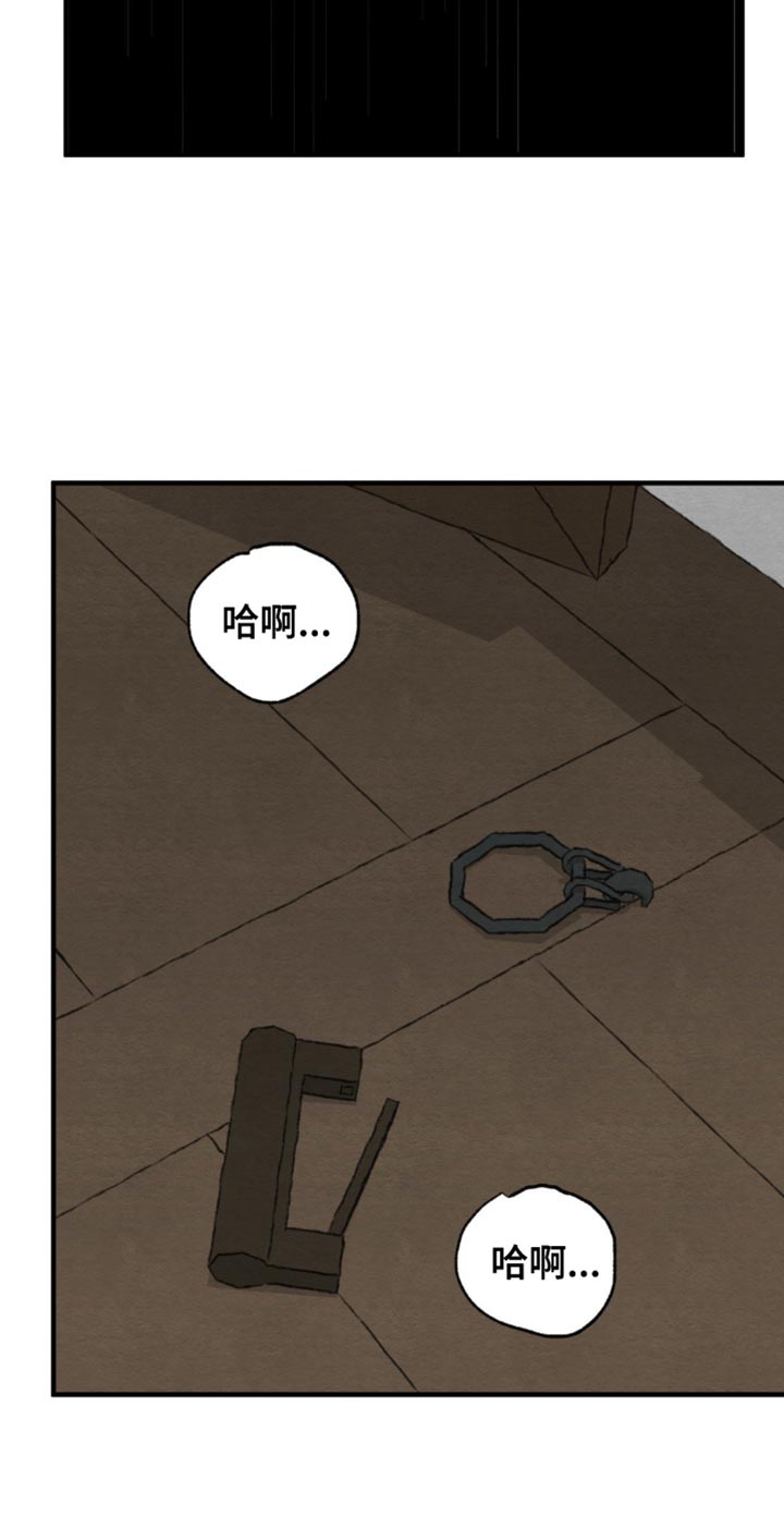 第205话16