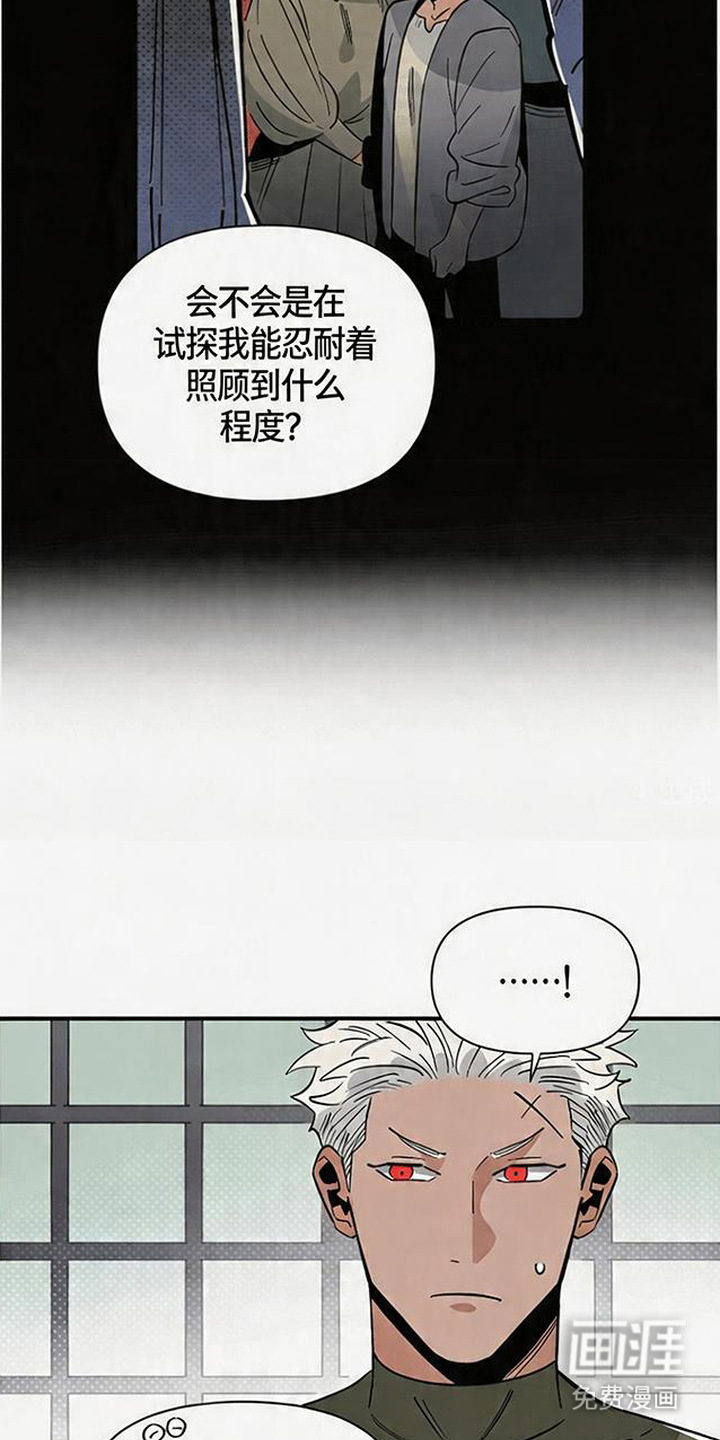 第11话8
