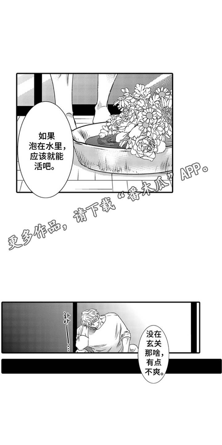 第10话10