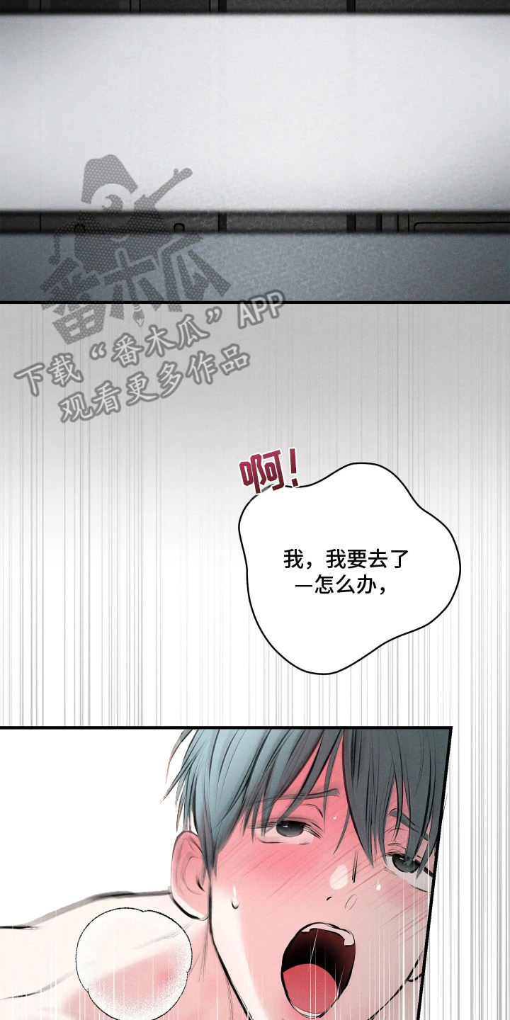 第13话9