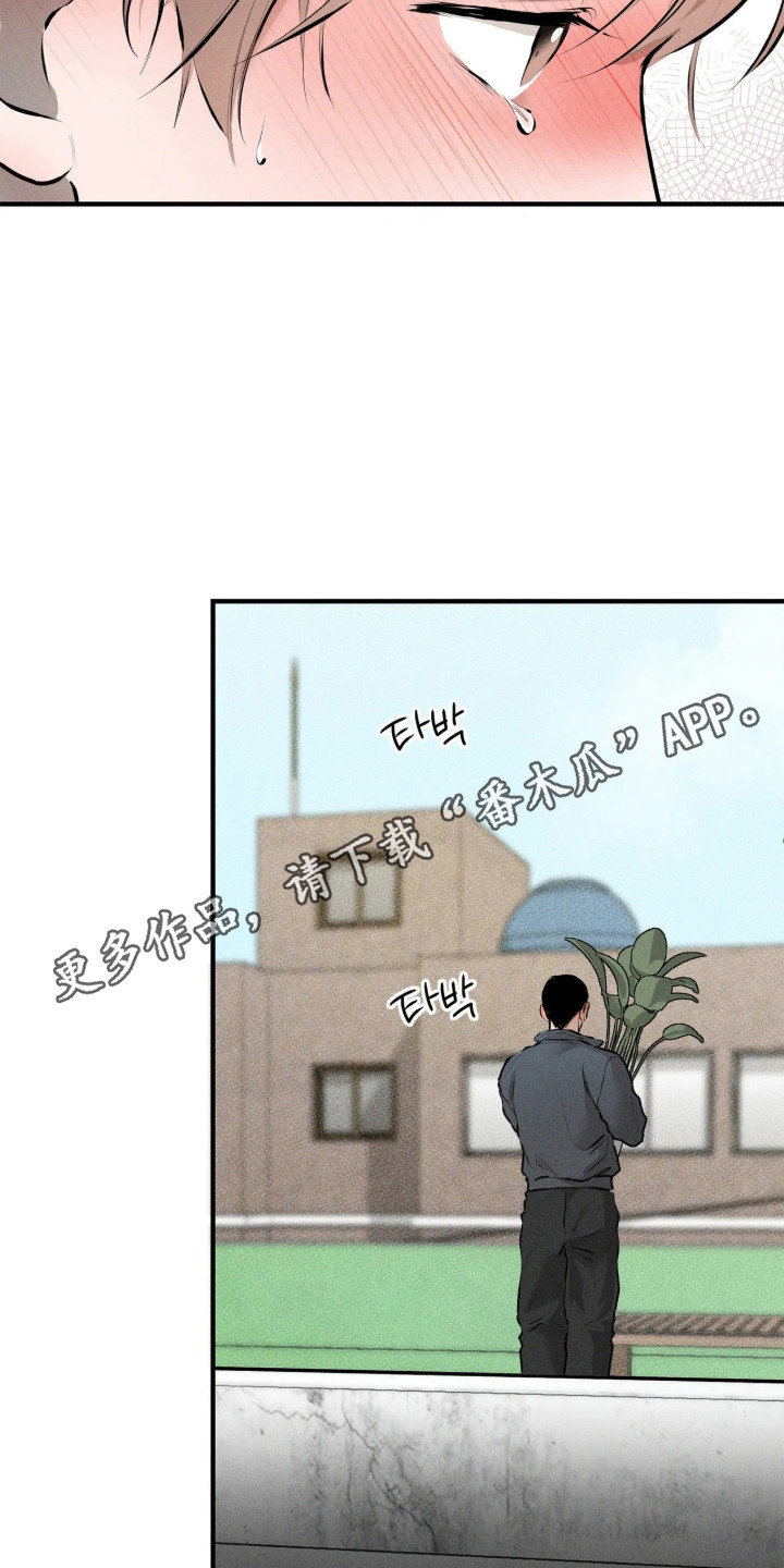 第11话5