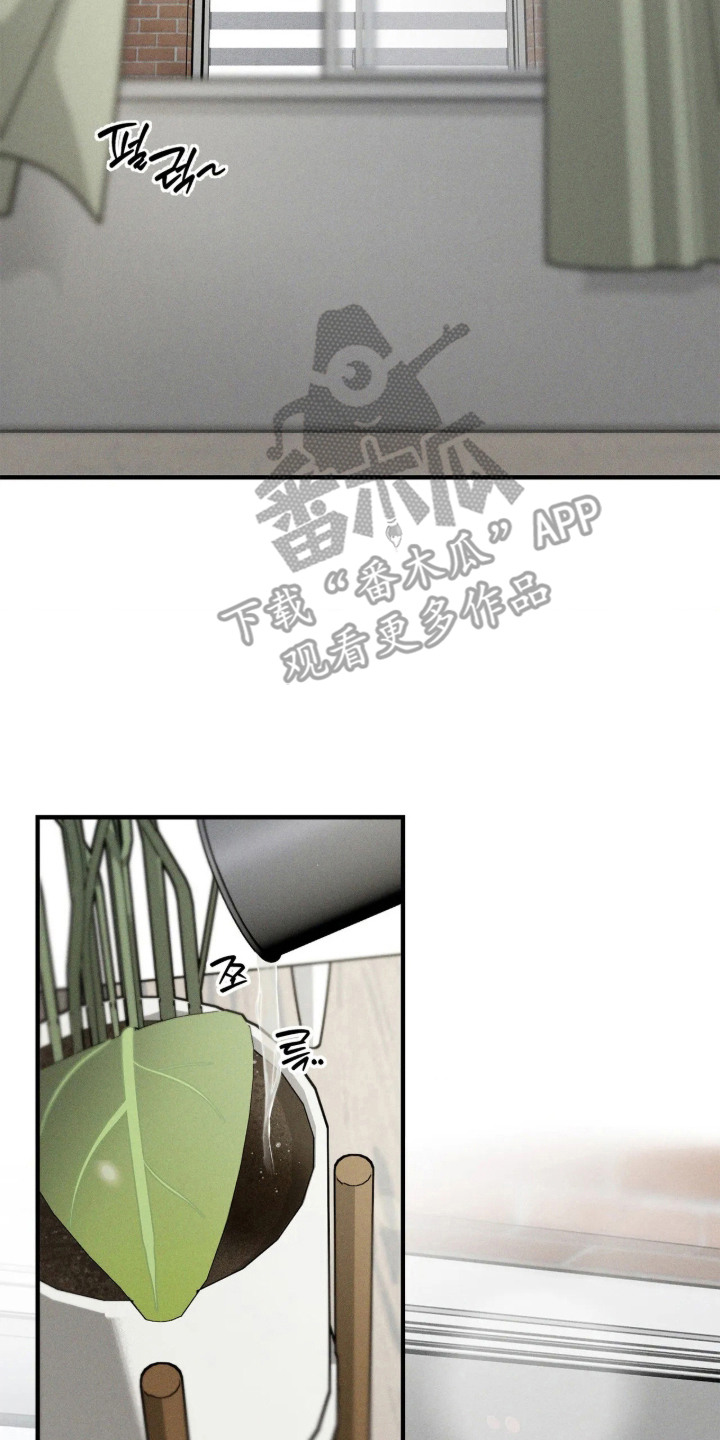 第11话9