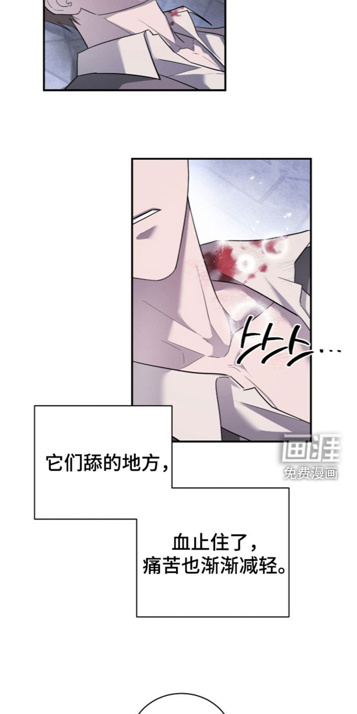 第26话11