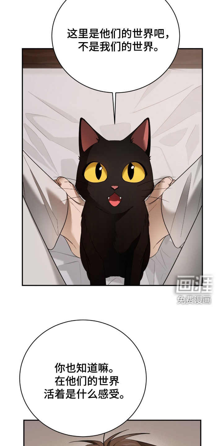第24话1