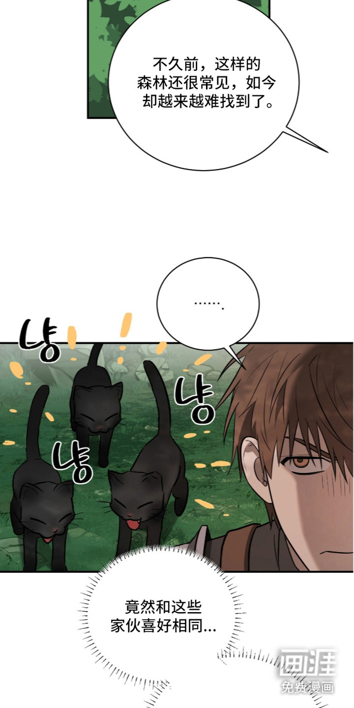 第15话17