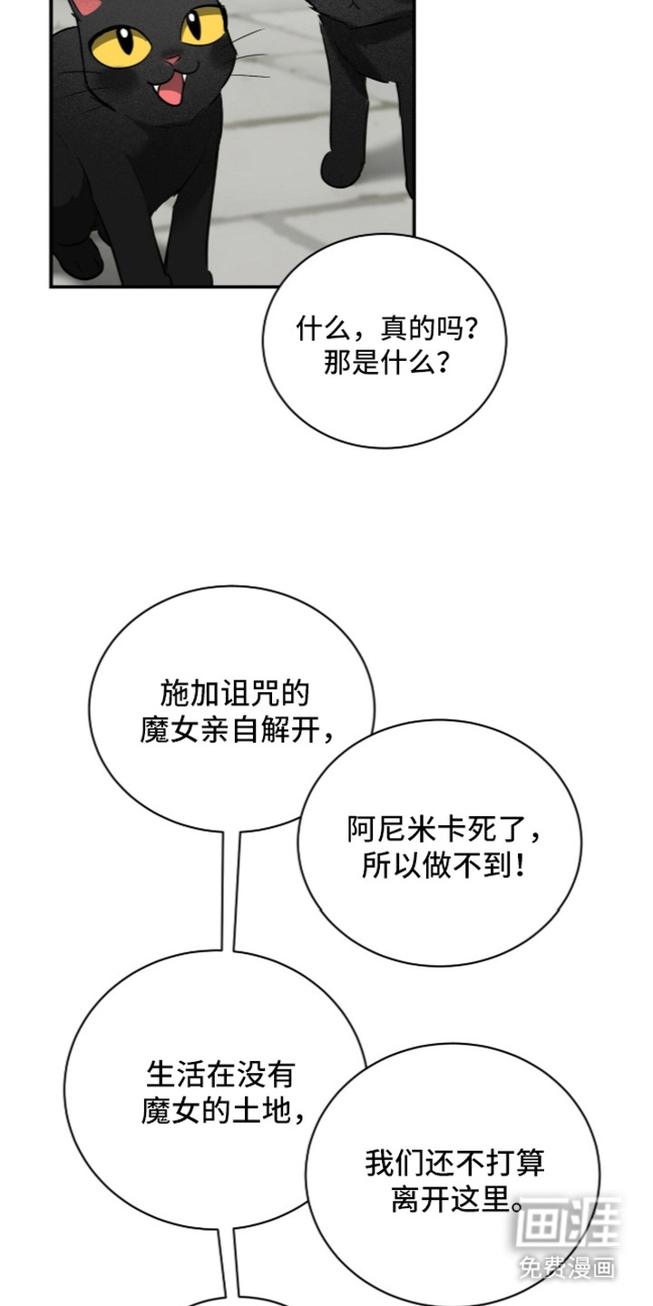 第14话6