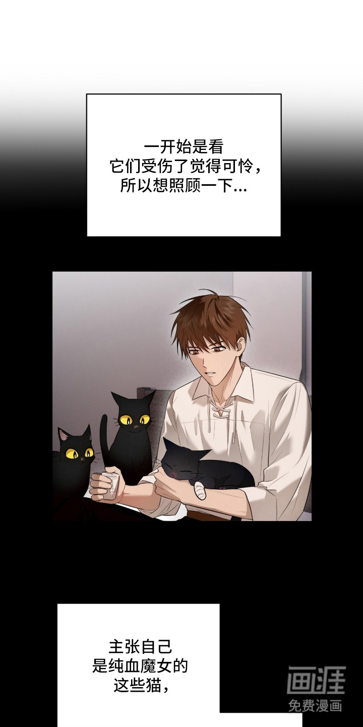 第11话12